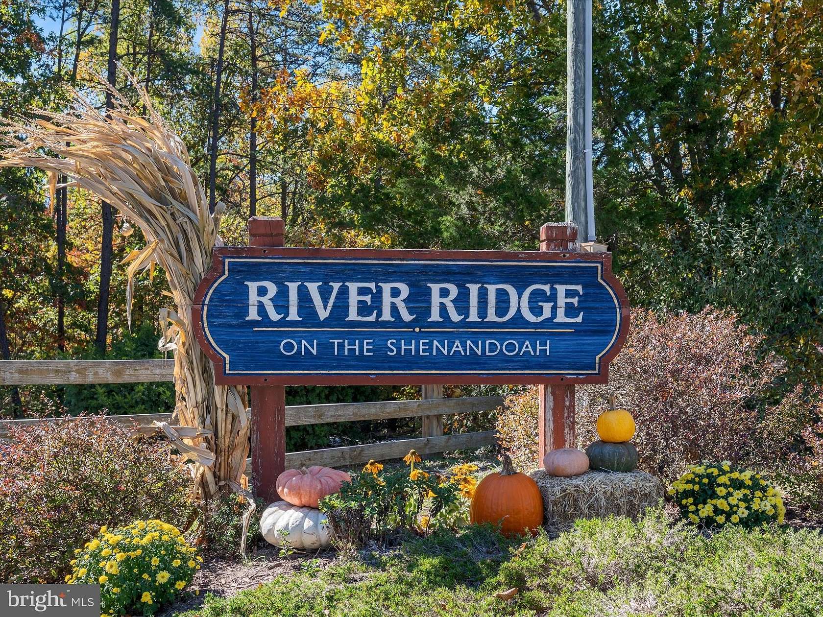20 Acres of Recreational & Residential Land for Sale in Middletown, Virginia