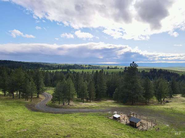 29.5 Acres of Recreational Land for Sale in Grangeville, Idaho