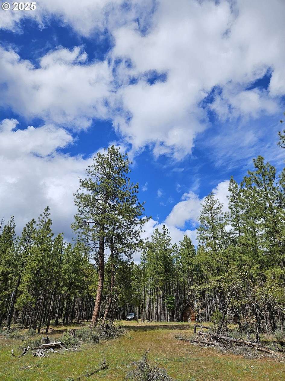 5 Acres of Residential Land for Sale in Goldendale, Washington