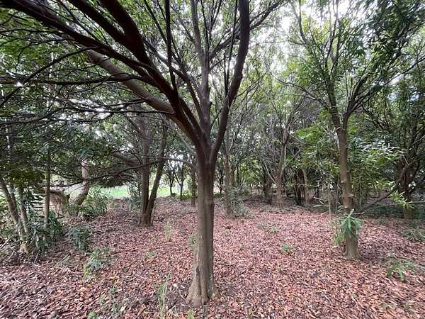 0.28 Acres of Residential Land for Sale in Nāʻālehu, Hawaii