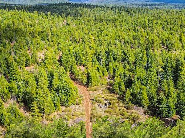 0.92 Acres of Residential Land for Sale in Likely, California