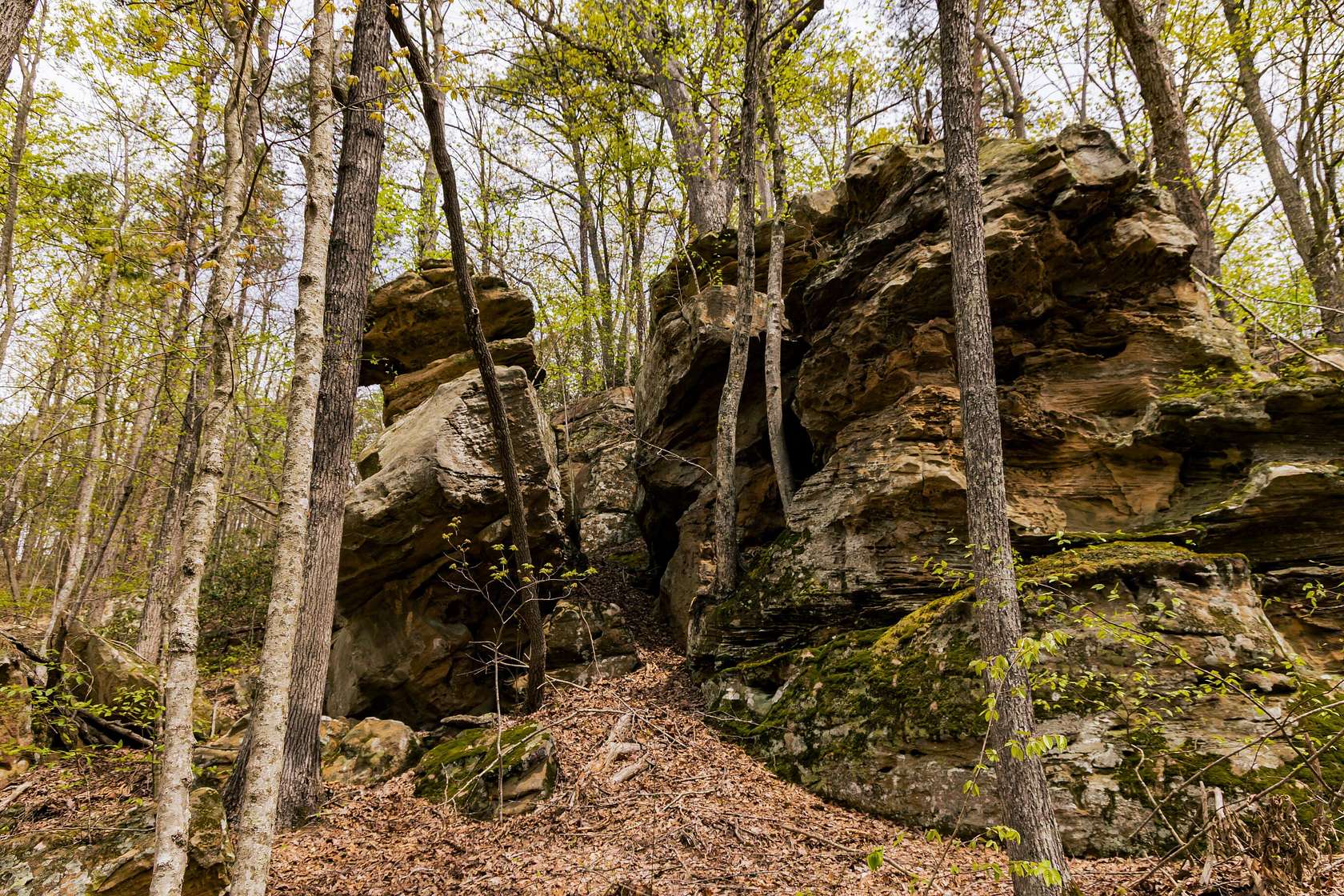 180 Acres of Land for Sale in Beattyville, Kentucky