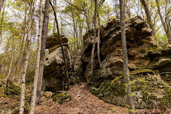 180 Acres of Land for Sale in Beattyville, Kentucky