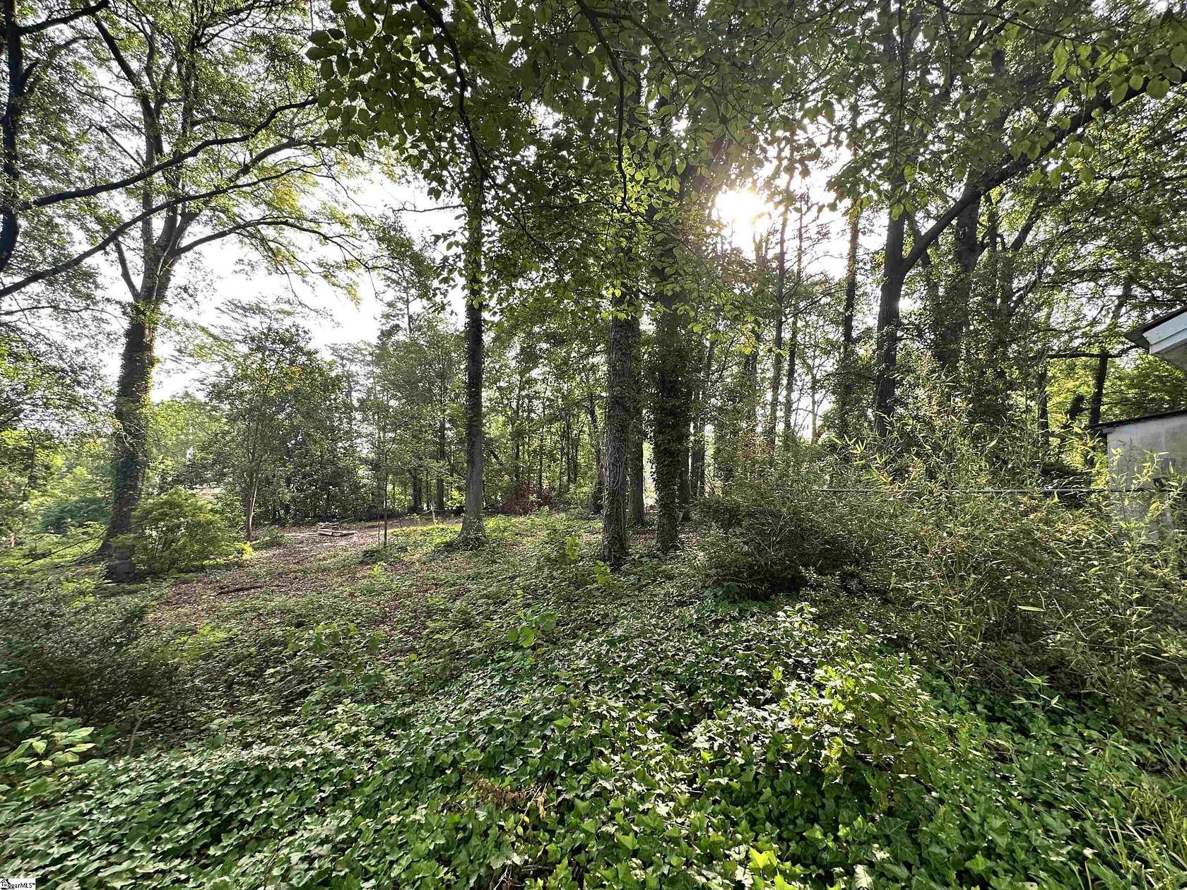 1 Acre of Residential Land for Sale in Greenville, South Carolina