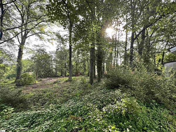 1 Acre of Residential Land for Sale in Greenville, South Carolina