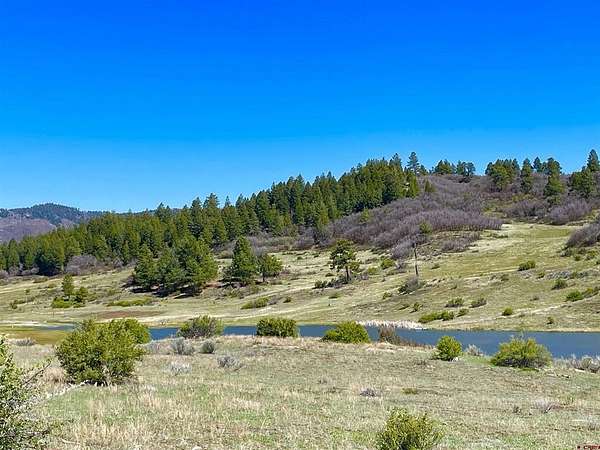 3 Acres of Residential Land for Sale in Chromo, Colorado