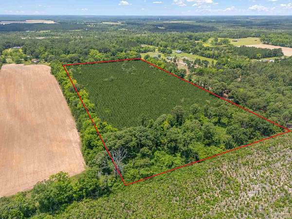 20 Acres of Recreational Land & Farm for Sale in Milton, Florida