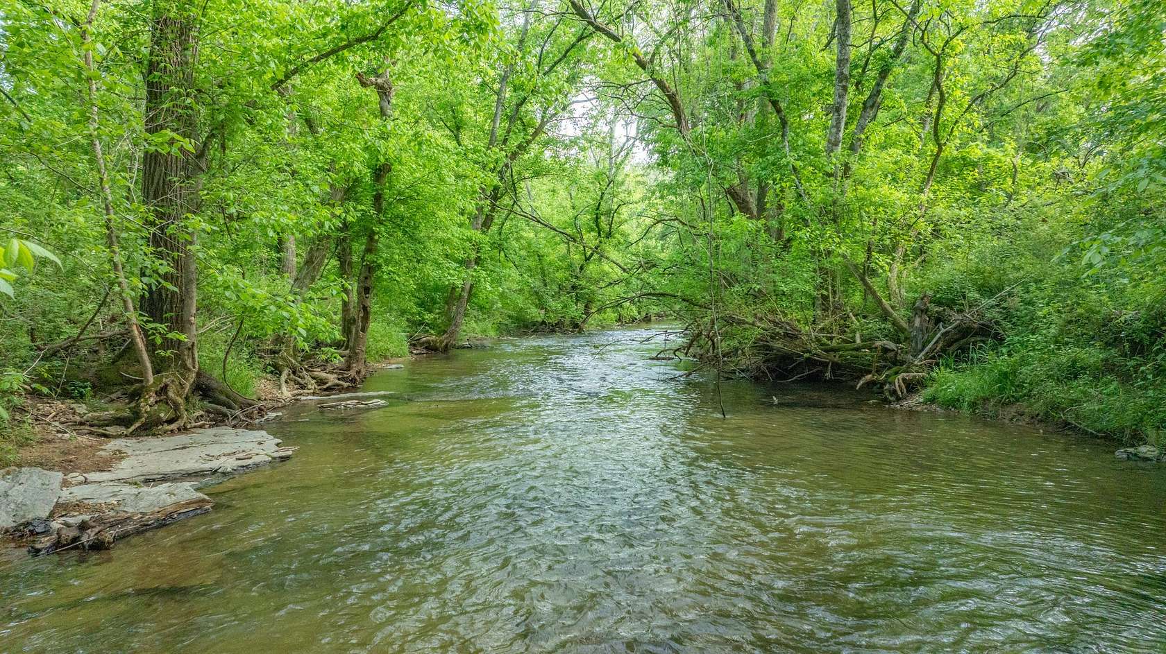 5.59 Acres of Land for Sale in Santa Fe, Tennessee