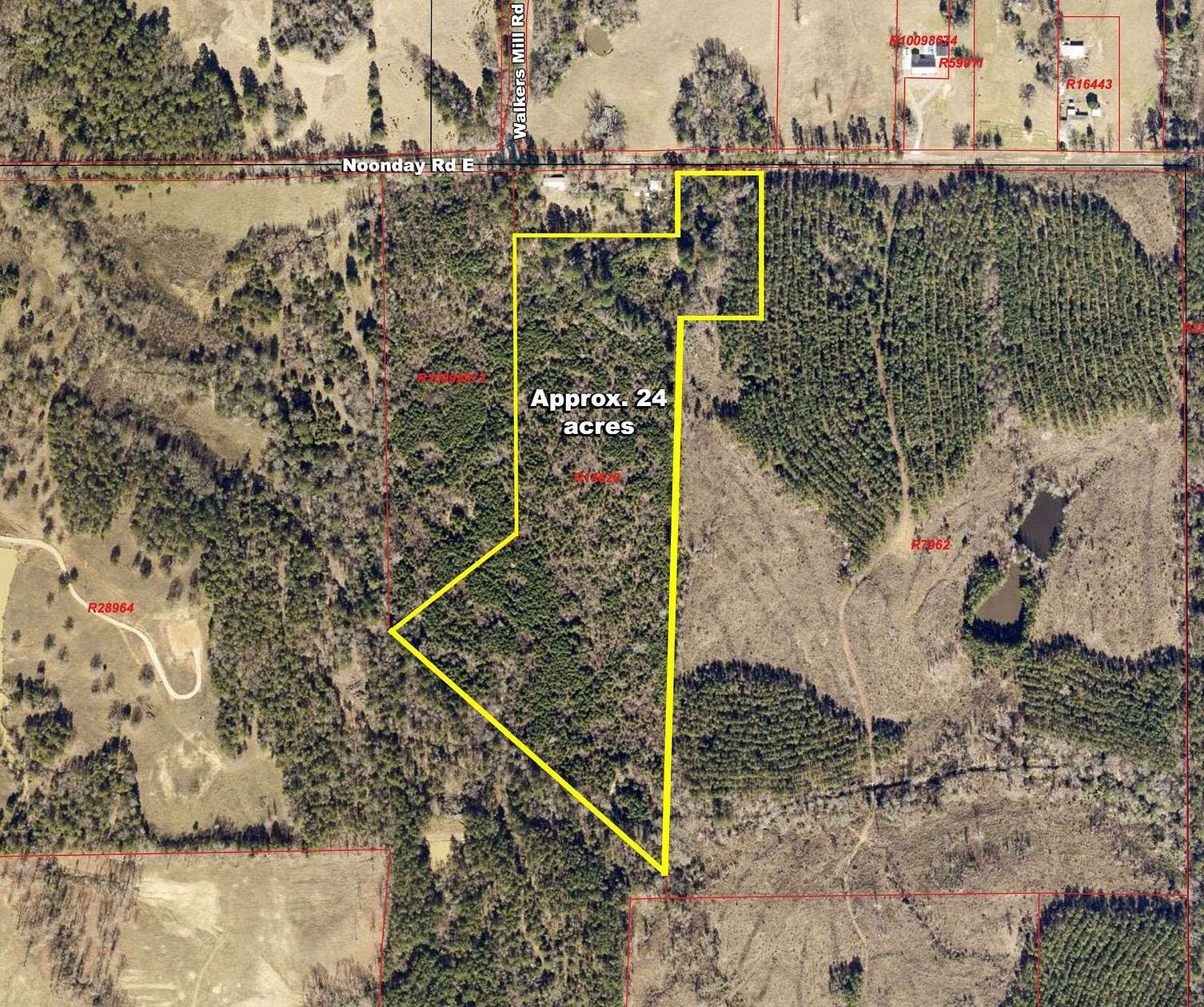 24 Acres of Recreational & Residential Land for Sale in Hallsville, Texas