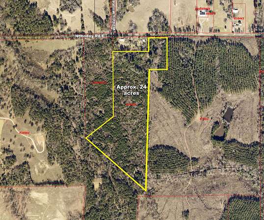 24 Acres of Recreational & Residential Land for Sale in Hallsville, Texas