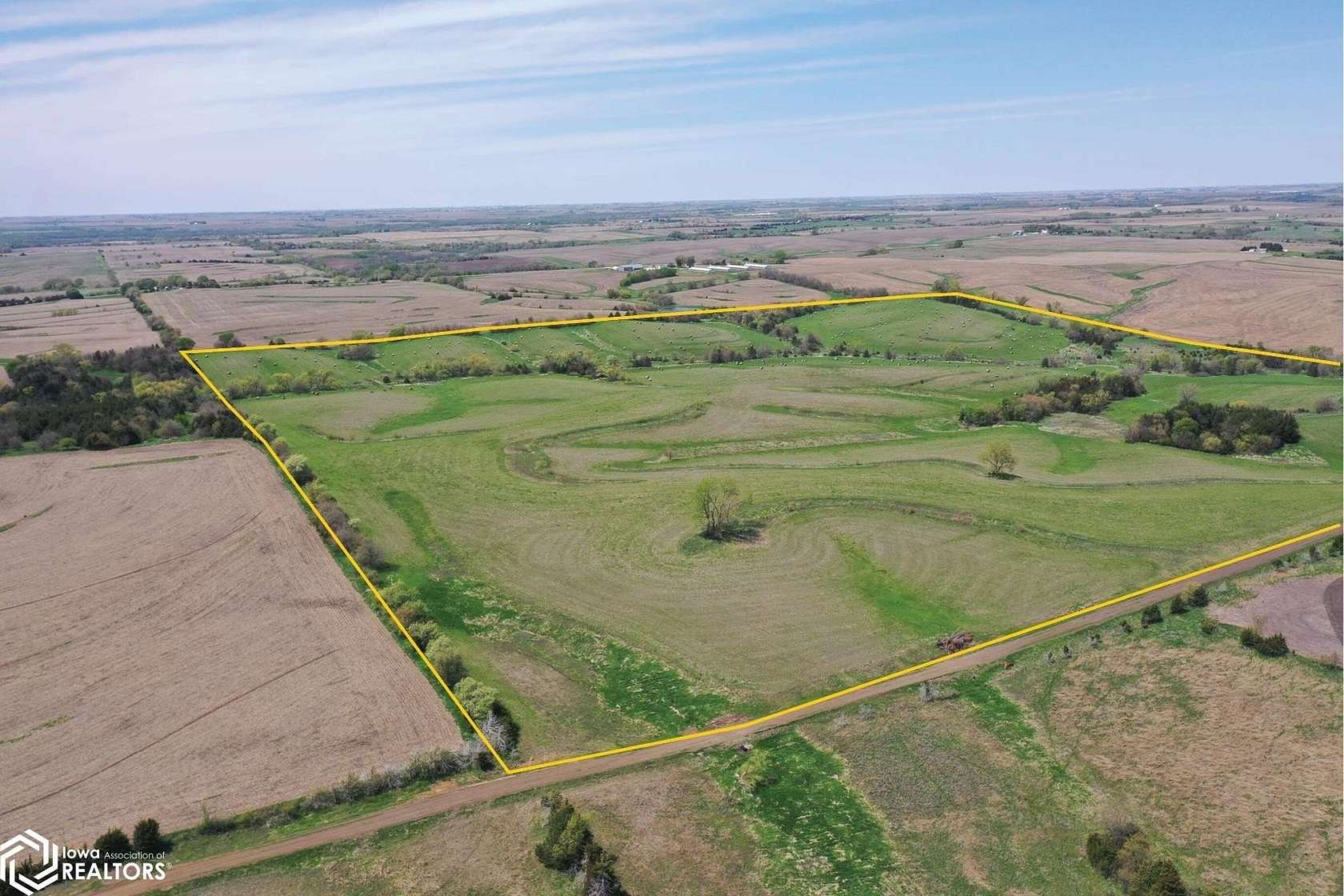 160 Acres of Agricultural Land for Sale in Diagonal, Iowa