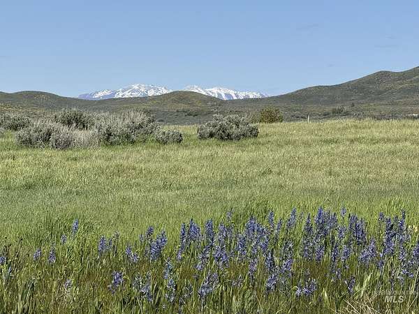 40 Acres of Recreational Land for Sale in Mountain Home, Idaho
