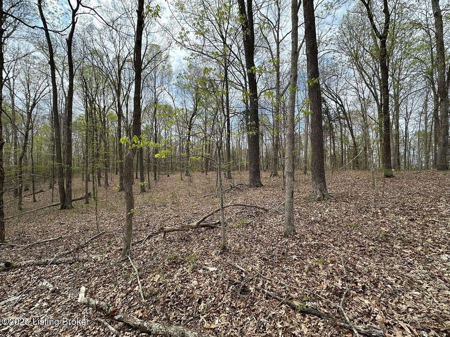 151 Acres of Land for Sale in Olaton, Kentucky