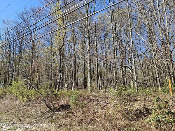 4.67 Acres of Residential Land for Sale in Covington Township, Pennsylvania