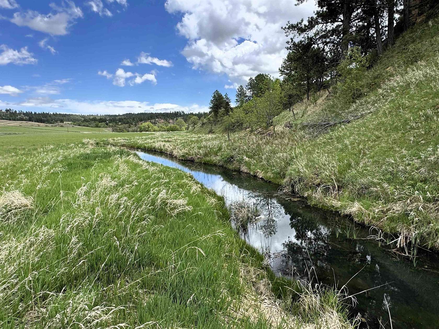35.5 Acres of Land for Sale in Hulett, Wyoming