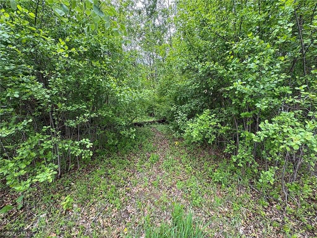 1.13 Acres of Land for Sale in Mora, Minnesota
