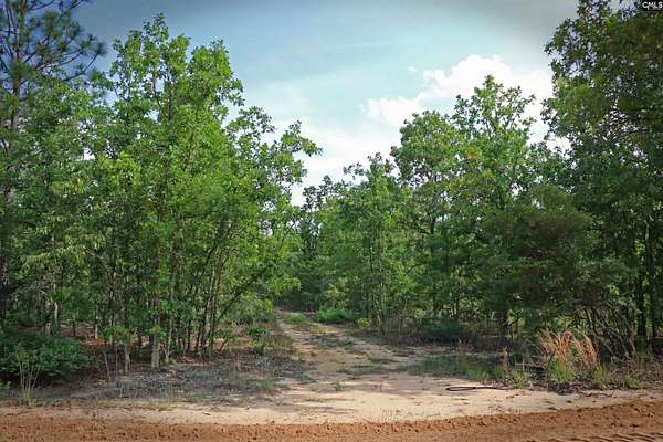 5 Acres of Land for Sale in Williston, South Carolina