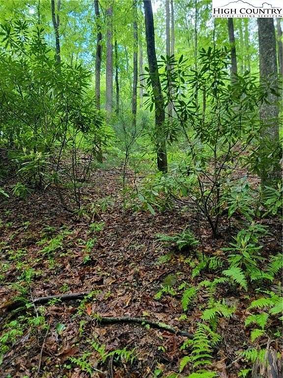 11 Acres of Recreational Land for Sale in Lenoir, North Carolina