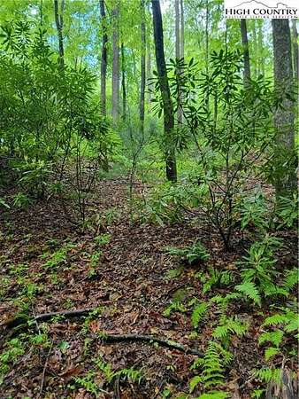 11 Acres of Recreational Land for Sale in Lenoir, North Carolina