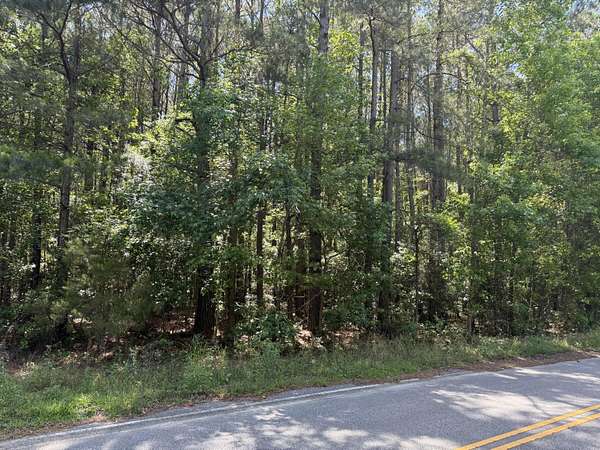 0.99 Acres of Residential Land for Sale in St. George, South Carolina