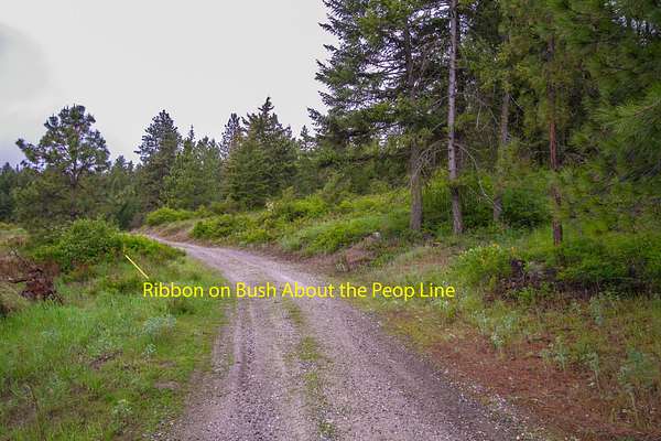 80 Acres of Recreational Land for Sale in Addy, Washington