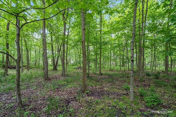 0.7 Acres of Residential Land for Sale in Oswego, Illinois