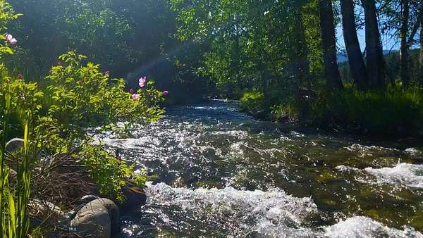 40.9 Acres of Land for Sale in Bozeman, Montana