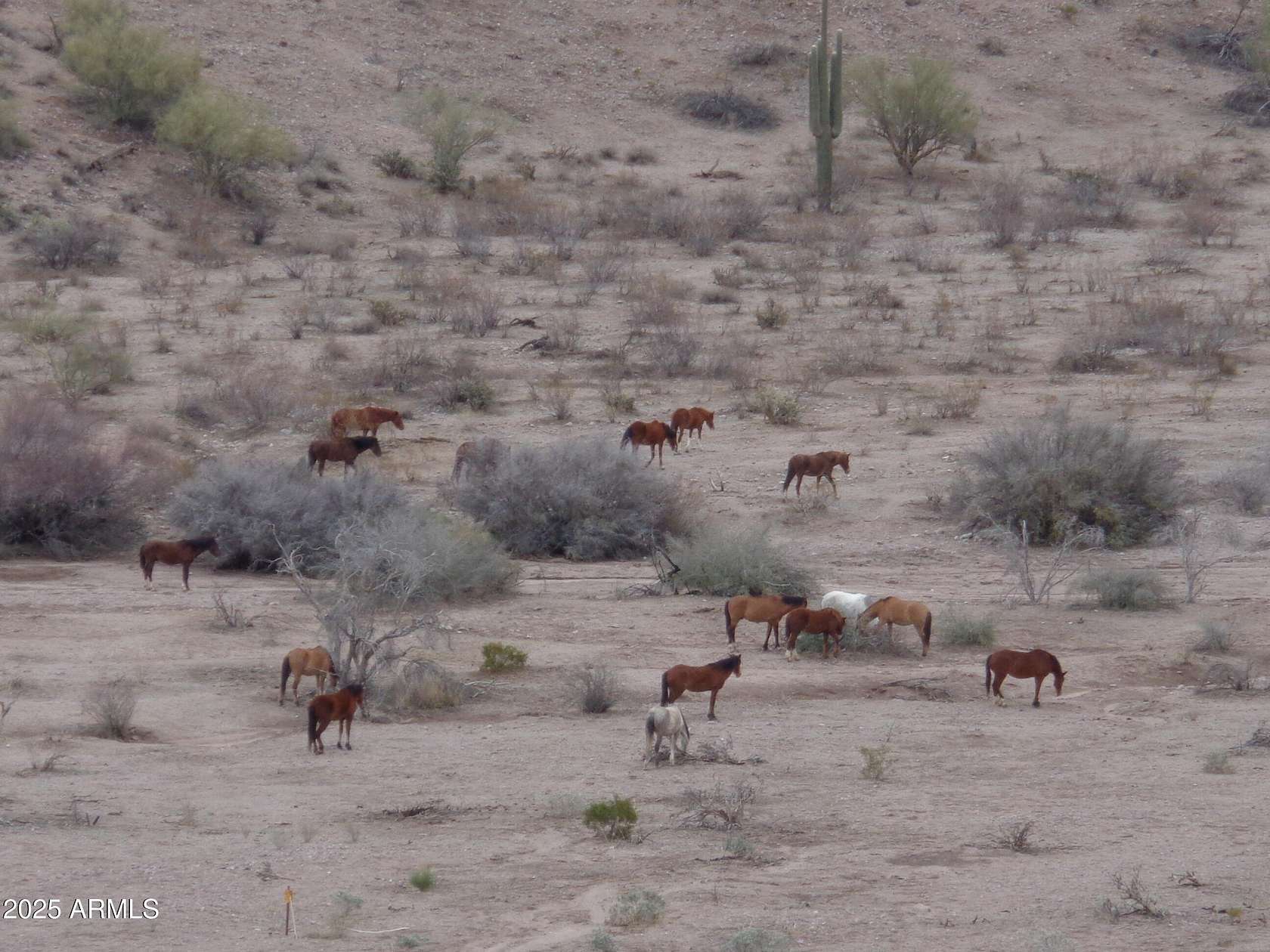 5.43 Acres of Residential Land for Sale in Fort McDowell, Arizona