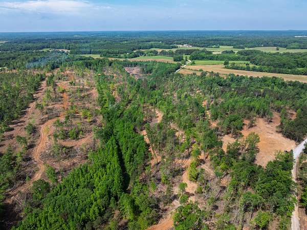 130 Acres of Land for Sale in Sardis, Tennessee