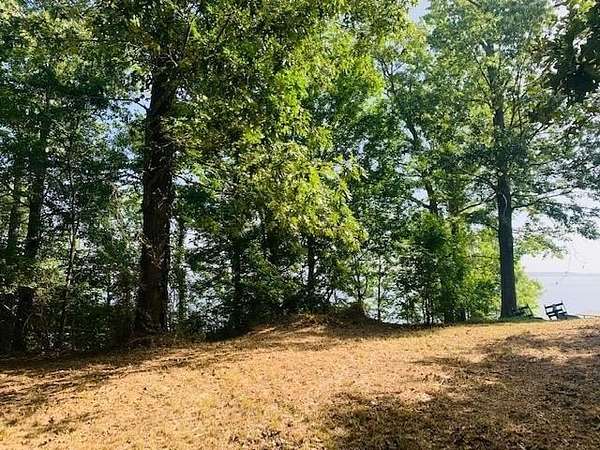 0.51 Acres of Land for Sale in Milam, Texas