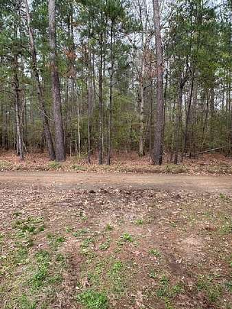 100 Acres of Land for Sale in Hemphill, Texas