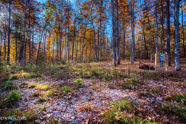 21.9 Acres of Land for Sale in Allardt, Tennessee