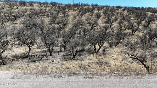 1 Acre of Residential Land for Sale in Rio Rico, Arizona