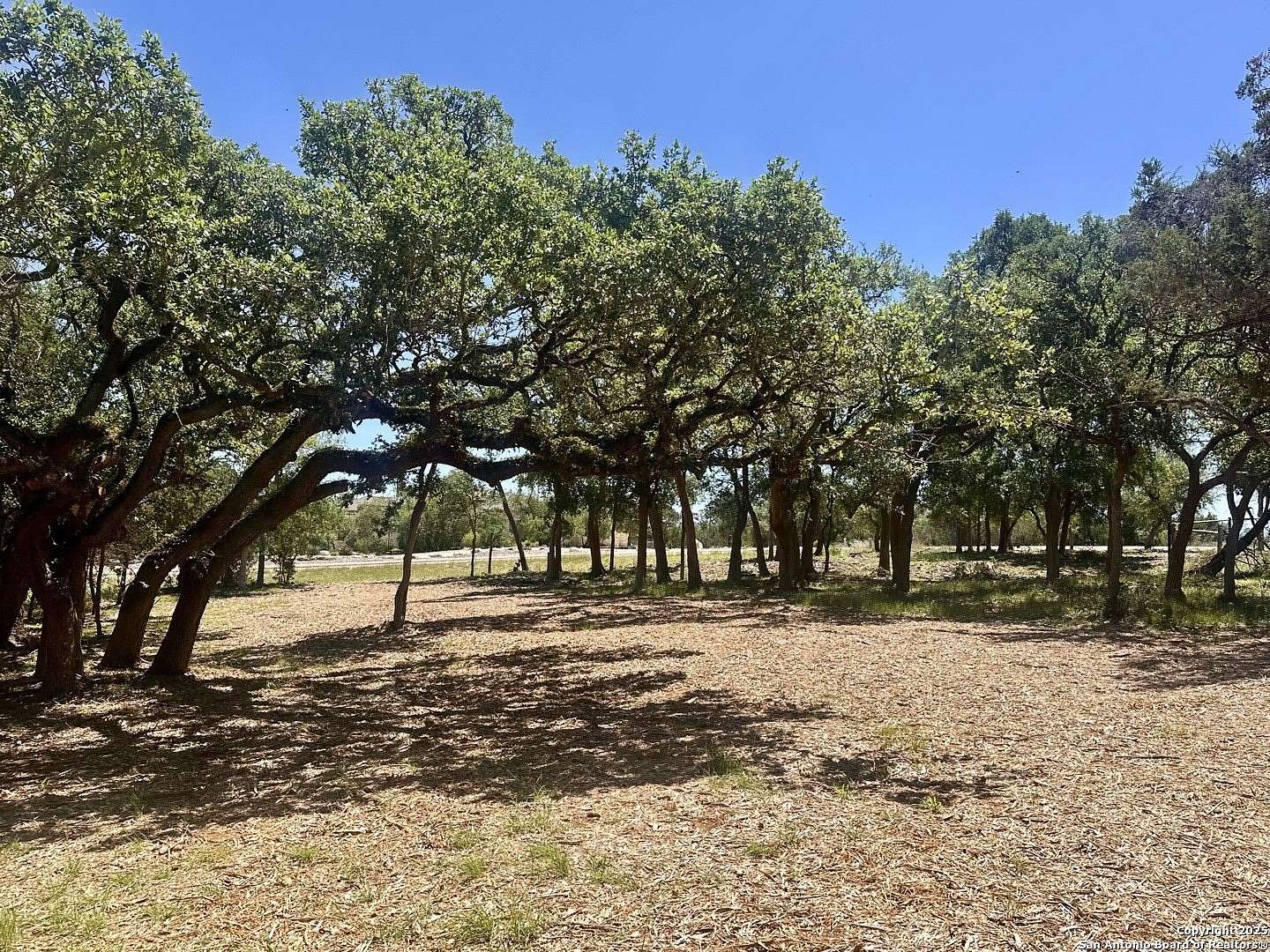 1 Acre of Residential Land for Sale in New Braunfels, Texas