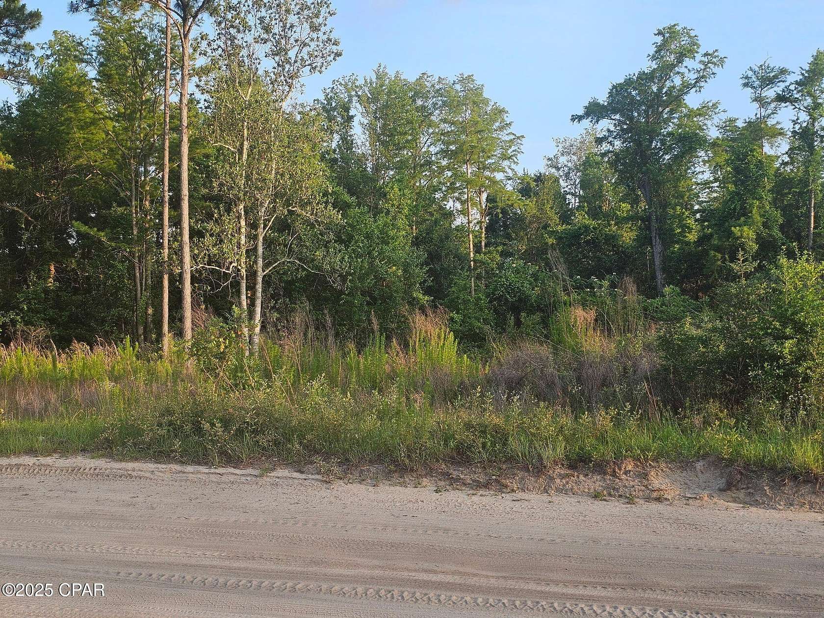 0.81 Acres of Land for Sale in Youngstown, Florida