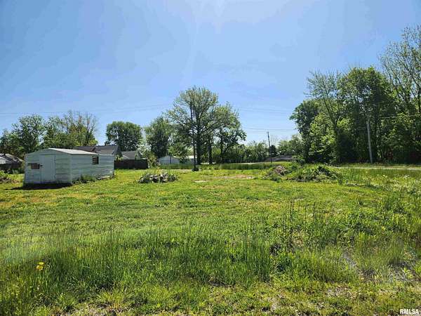 0.36 Acres of Residential Land for Sale in Ashley, Illinois
