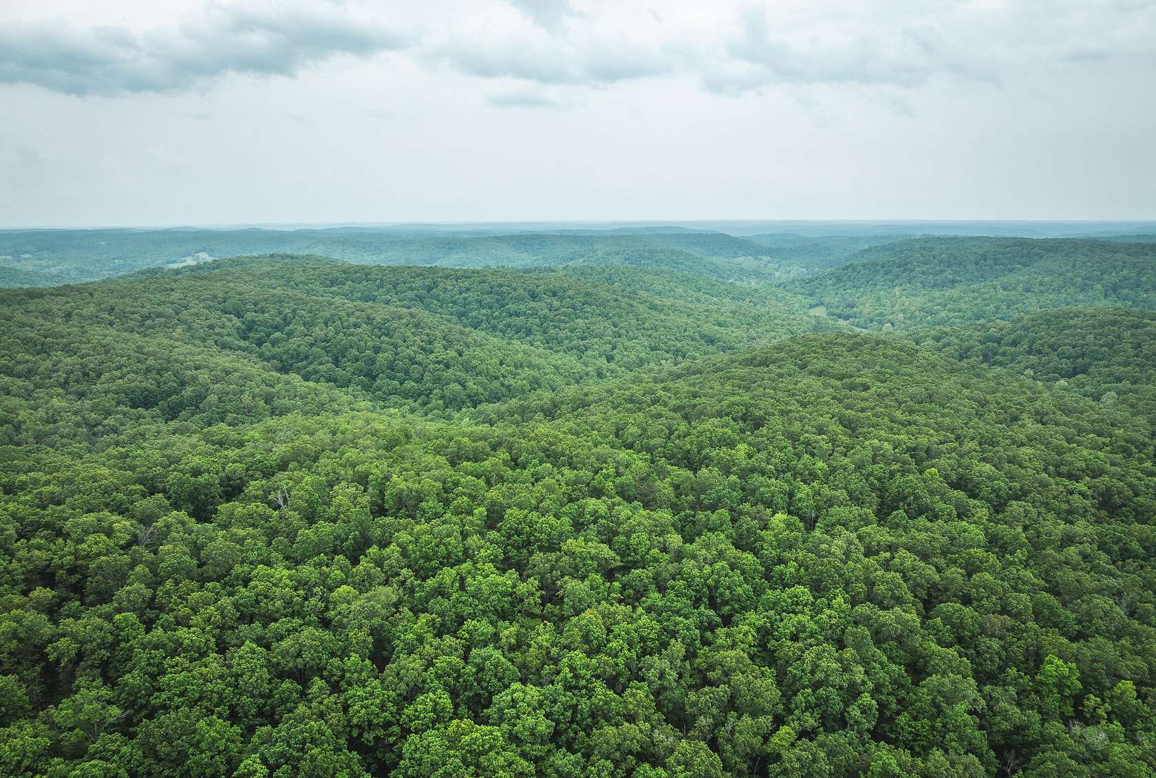 319 Acres of Recreational Land for Sale in Jadwin, Missouri