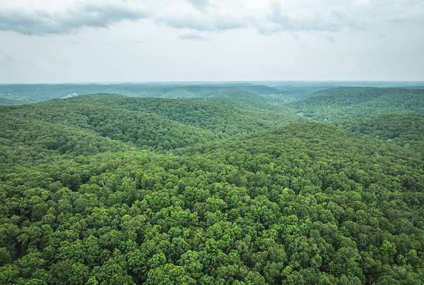 319 Acres of Recreational Land for Sale in Jadwin, Missouri
