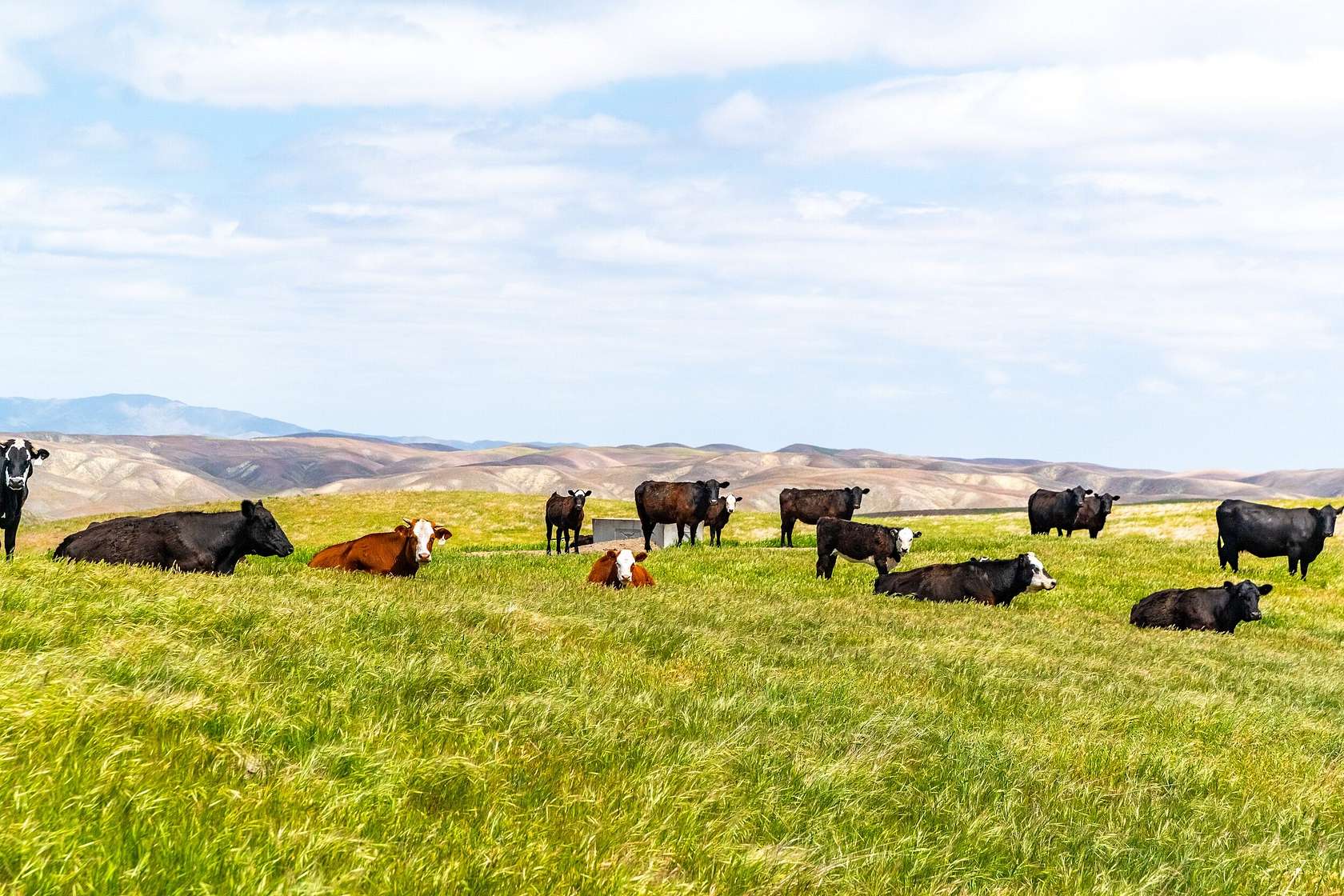 8,526 Acres of Land with Home for Sale in Shandon, California