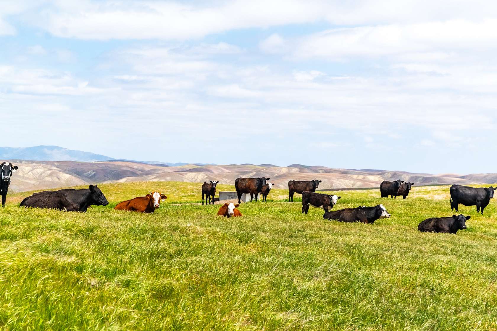 8,526 Acres of Land with Home for Sale in Shandon, California