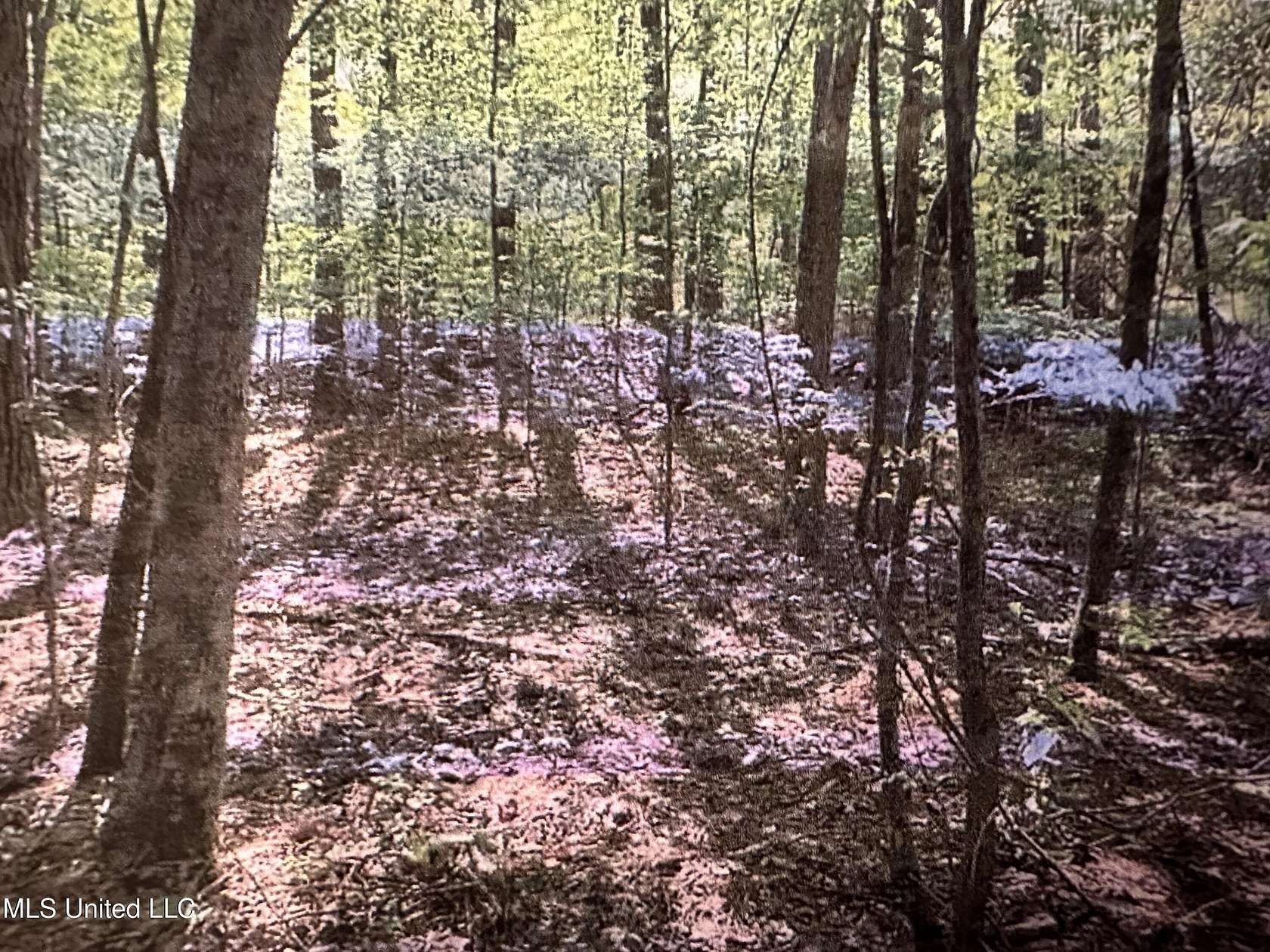 0.63 Acres of Land for Sale in Florence, Mississippi