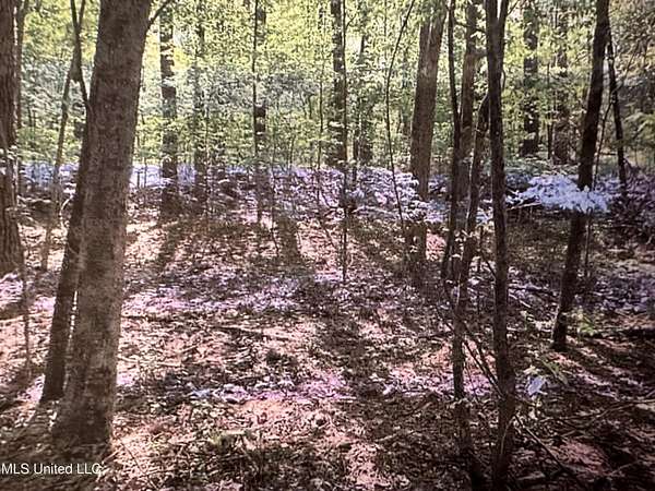 0.63 Acres of Land for Sale in Florence, Mississippi