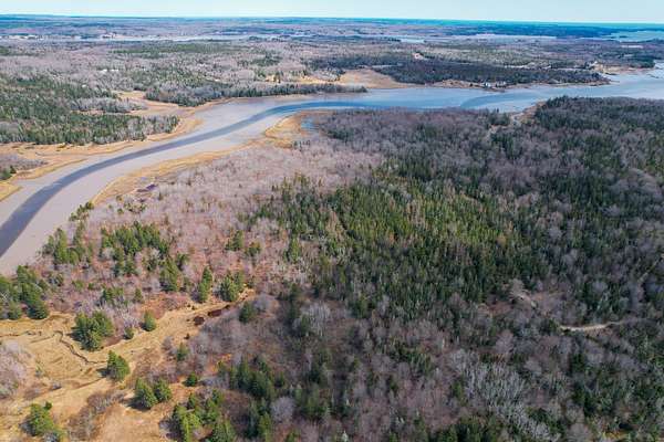 27.5 Acres of Land for Sale in Harrington, Maine