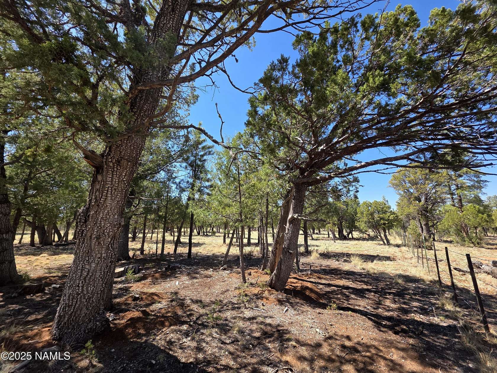 0.69 Acres of Land for Sale in Happy Jack, Arizona