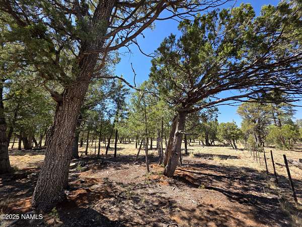 0.69 Acres of Land for Sale in Happy Jack, Arizona