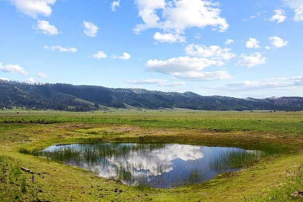 25 Acres of Recreational Land & Farm for Sale in Cascade, Idaho