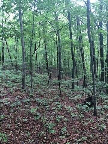3.6 Acres of Residential Land for Sale in Signal Mountain, Tennessee
