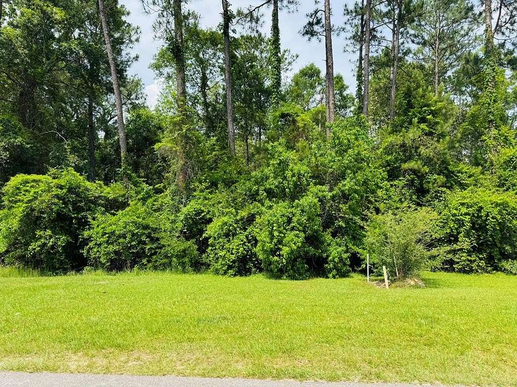 0.46 Acres of Residential Land for Sale in Carriere, Mississippi