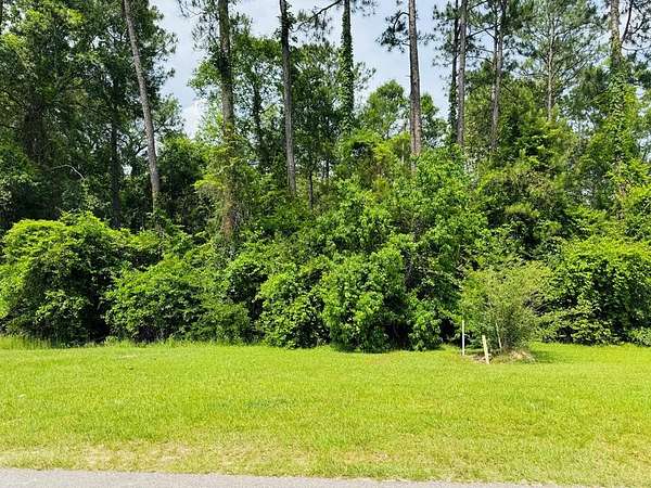 0.46 Acres of Residential Land for Sale in Carriere, Mississippi