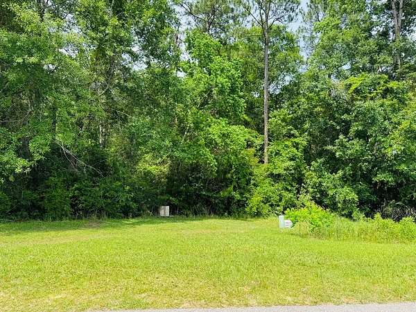 0.52 Acres of Residential Land for Sale in Carriere, Mississippi